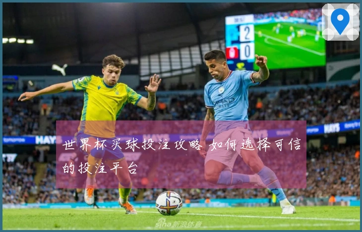 世界杯买球投注攻略 如何选择可信的投注平台