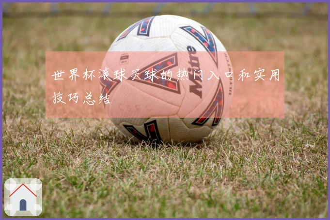 世界杯滚球买球的热门入口和实用技巧总结