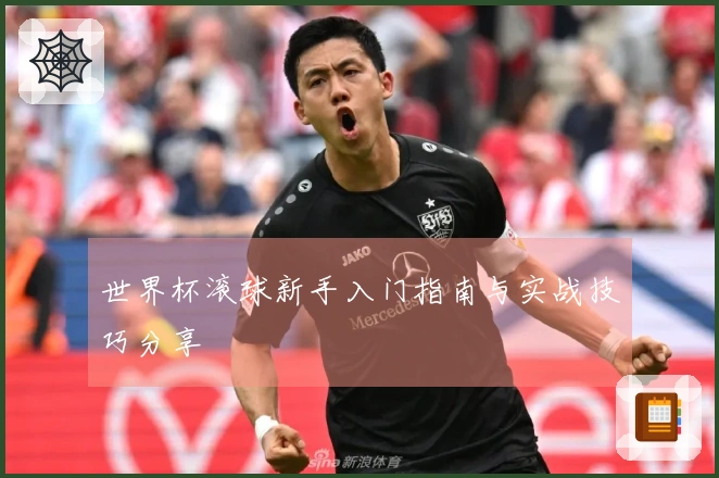 世界杯滚球新手入门指南与实战技巧分享