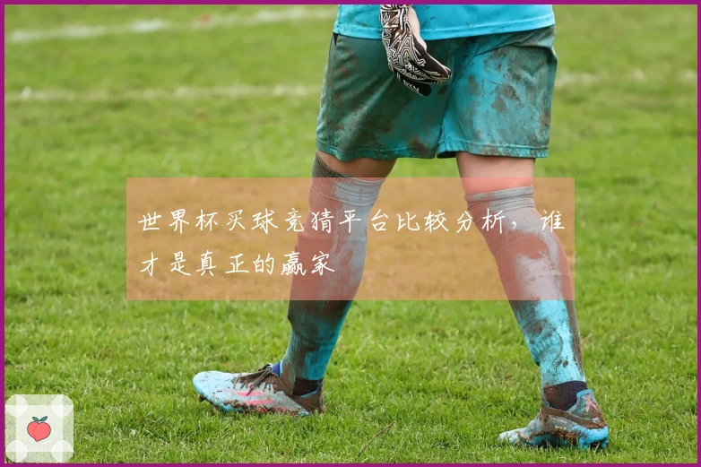 世界杯买球竞猜平台比较分析，谁才是真正的赢家