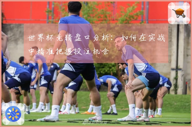 世界杯竞猜盘口分析：如何在实战中精准把握投注机会