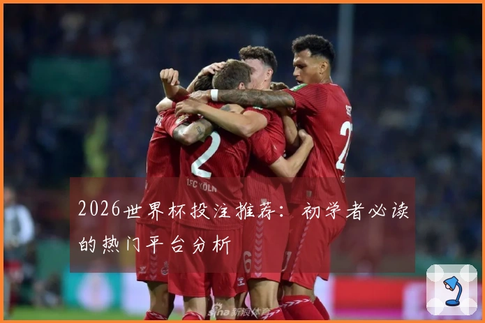 2026世界杯投注推荐：初学者必读的热门平台分析