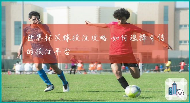 世界杯买球投注攻略 如何选择可信的投注平台