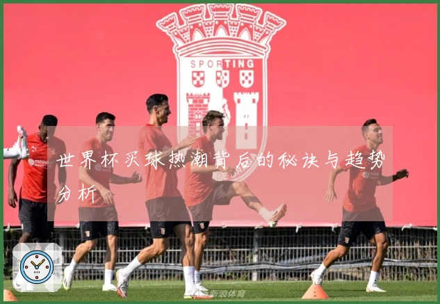 世界杯买球热潮背后的秘诀与趋势分析