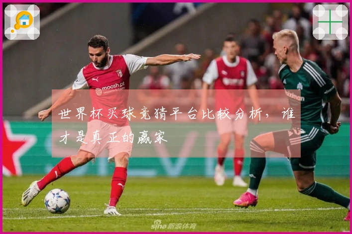世界杯买球竞猜平台比较分析，谁才是真正的赢家