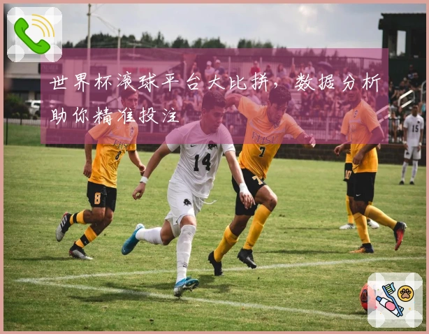 世界杯滚球平台大比拼，数据分析助你精准投注