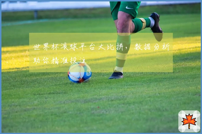 世界杯滚球平台大比拼，数据分析助你精准投注