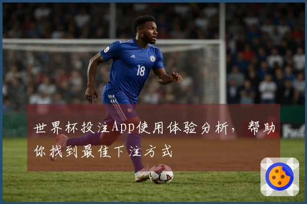 世界杯投注App使用体验分析，帮助你找到最佳下注方式