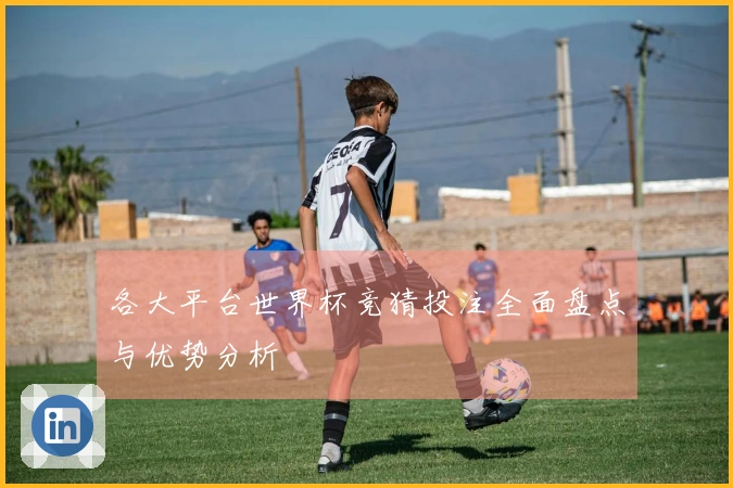 各大平台世界杯竞猜投注全面盘点与优势分析